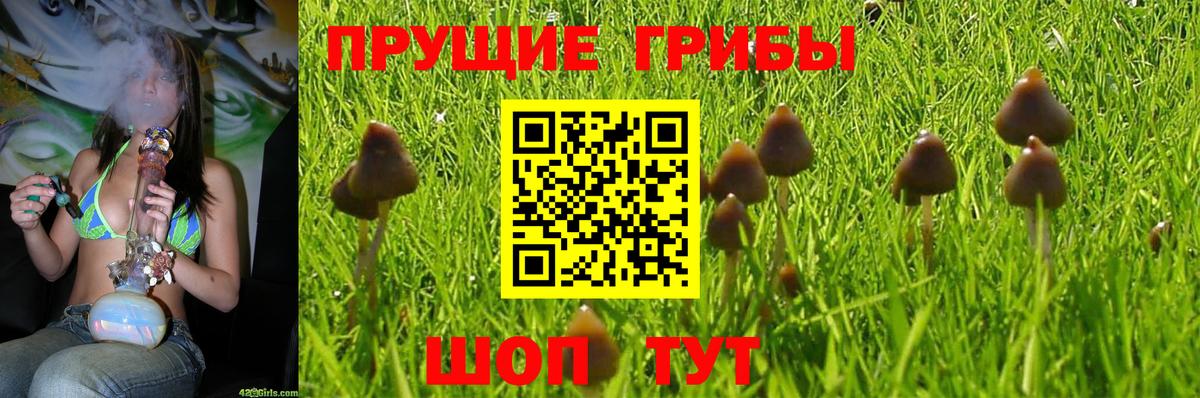 Псилоцибиновые грибы ЛСД  Вход с VPN  Гудермес 
